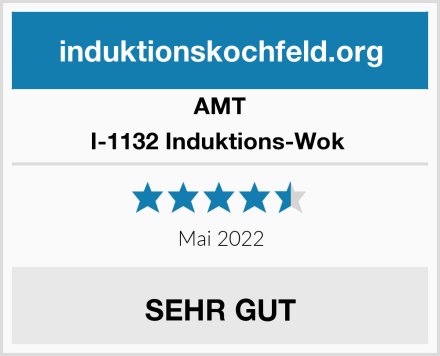 AMT I-1132 Induktions-Wok  Test