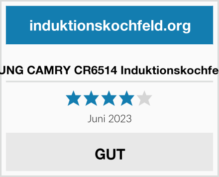  JUNG CAMRY CR6514 Induktionskochfeld Test