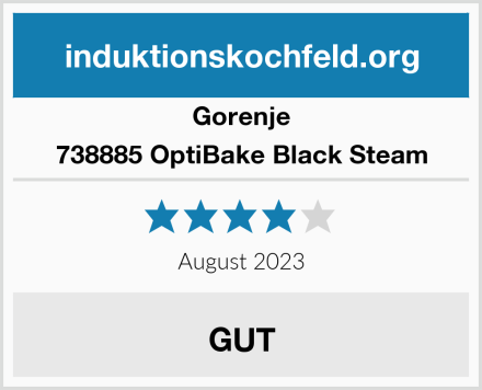 Gorenje 738885 OptiBake Black Steam Test